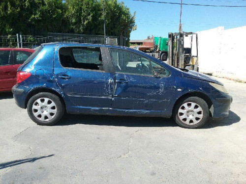  PEUGEOT 307 BERLINA (S2) 