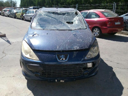  PEUGEOT 307 BERLINA (S2) 