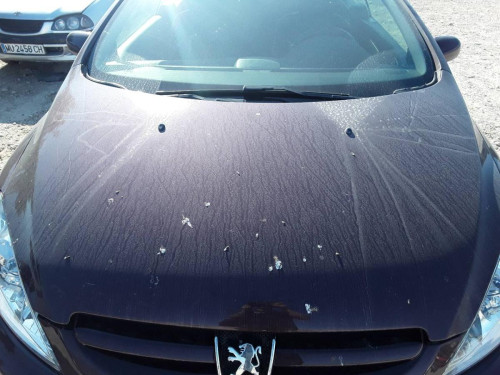 CAPO Peugeot 307 CC CABRIO-COUPÉ (S1)(10.2003) 