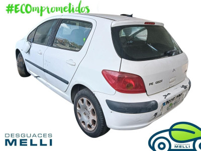PEUGEOT 307 (S1)(04.2001)