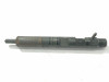  INYECTOR, RENAULT, CLIO II FASE II (B/CB0) 