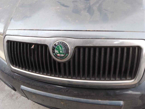 REJILLA DELANTERA Skoda FABIA (6Y2/6Y3) 