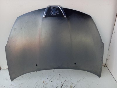 CAPO, PEUGEOT, 4007