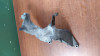 SOPORTE ALTERNADOR Land Rover RANGE ROVER SPORT 