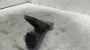 POTENCIOMETRO PEDAL BMW SERIE 5 TOURING (F11) 