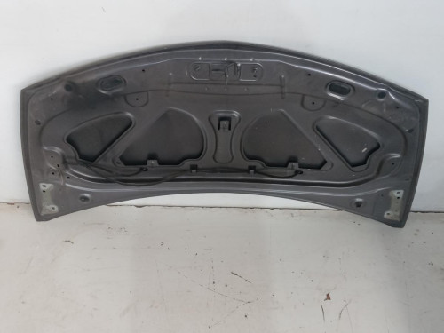 CAPO Renault CLIO III 