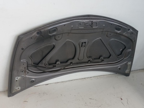 CAPO Renault CLIO III 
