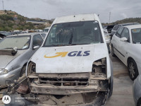 FORD TRANSIT CONNECT (TC7)