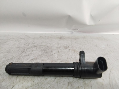 BOBINA ENCENDIDO Fiat IDEA (135) 