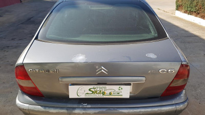 PORTON TRASERO Citroen C5 Berlina (2001->)