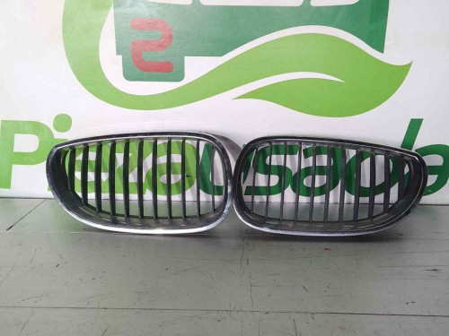 REJILLA DELANTERA BMW SERIE 5 BERLINA (E60) 