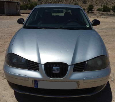 SEAT IBIZA (6L1)