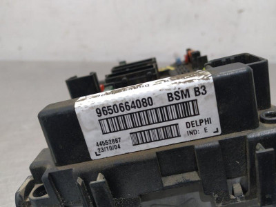 CAJA RELES / FUSIBLES, PEUGEOT, 307 BERLINA (S2)