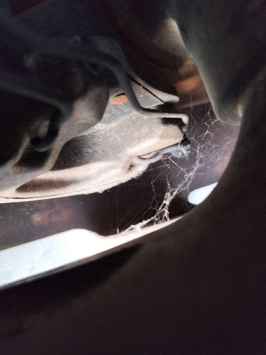PINZA DE FRENO DELANTERA DERECHA Renault LAGUNA II (BG0) 