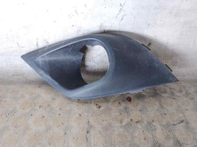 REJILLA PARAGOLPES DELANTERO