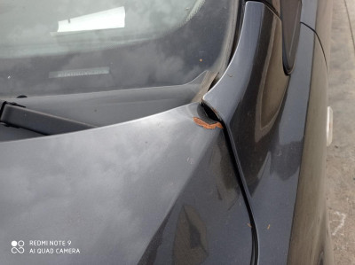 CAPO Ford Focus C-MAX (CAP)(2003->2007)