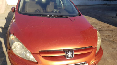 CAPO Peugeot 307 (S1)(04.2001->06.2005)