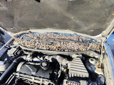 ARTICULACION LIMPIA DELANTERA, SEAT, CORDOBA BERLINA (6L2)