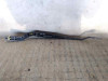 BRAZO LIMPIA DELANTERO IZQUIERDO Opel VECTRA C BERLINA 