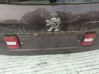 NO IDENTIFICADO, PEUGEOT, 407