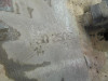 CAJA CAMBIOS Seat LEON (1M1) 
