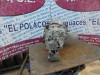 CAJA CAMBIOS Audi A4 BERLINA (8E) 