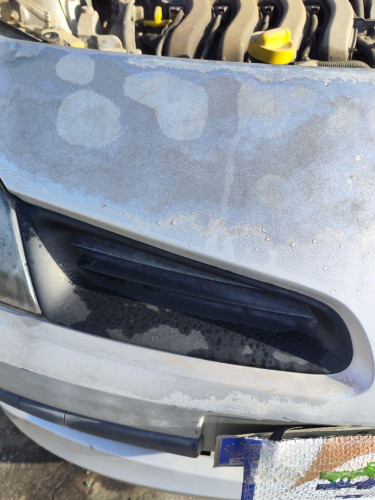 REJILLA DELANTERA RENAULT CLIO III 