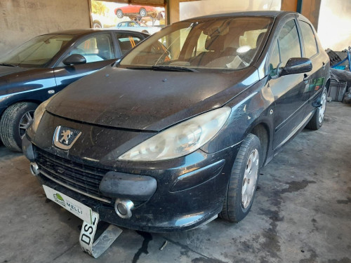  PEUGEOT 307 BERLINA (S2) 