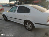  SKODA OCTAVIA BERLINA (1U2) 